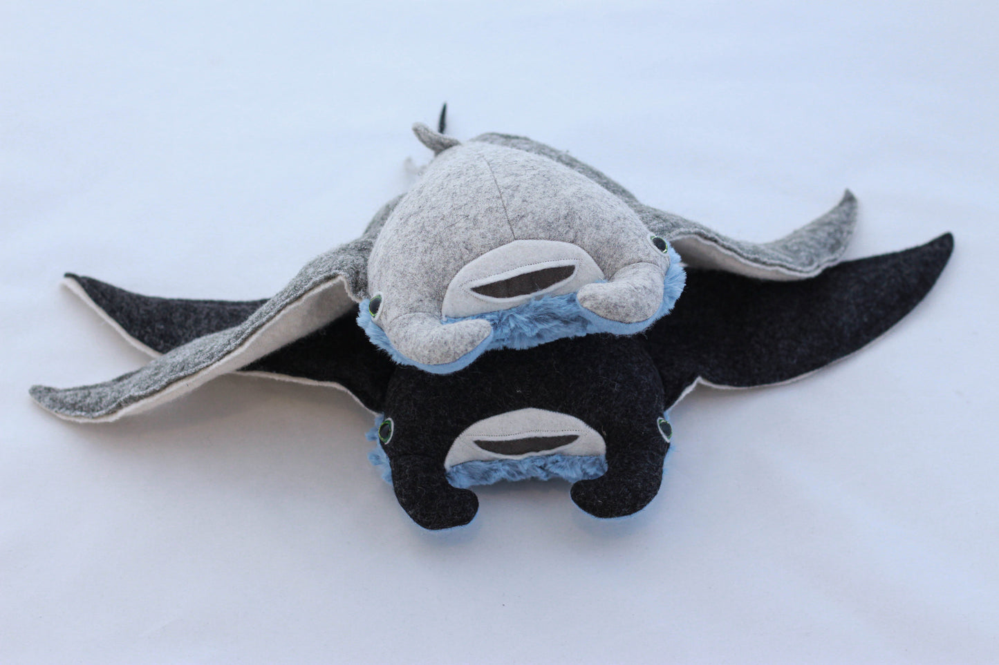 Mini Manta Ray