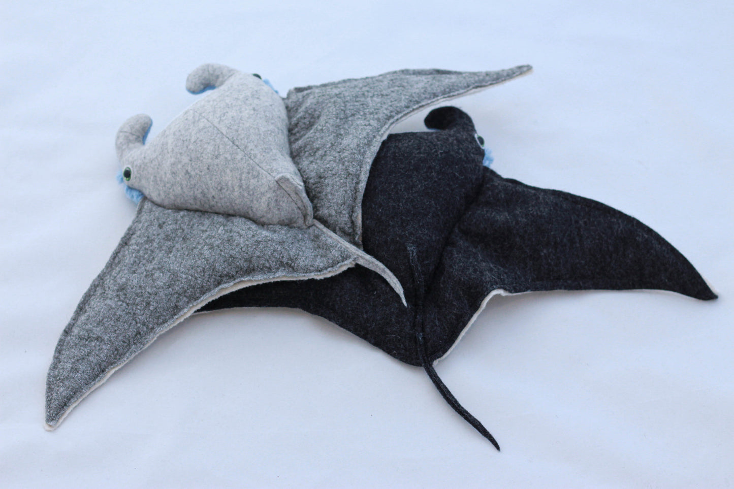 Mini Manta Ray