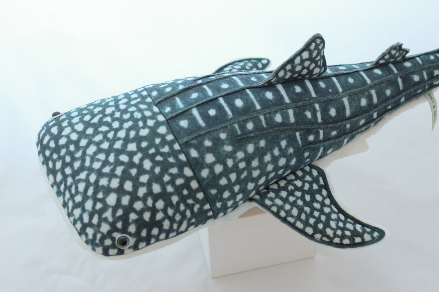 Winifred the Whale Shark