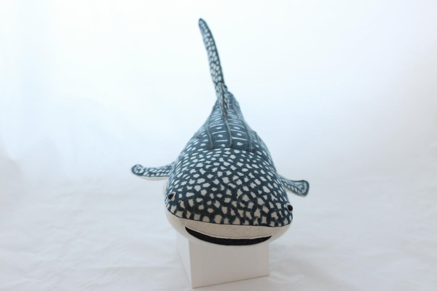 Winifred the Whale Shark