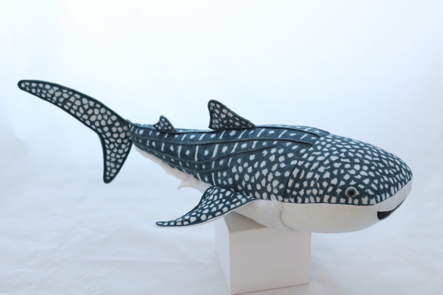 Winifred the Whale Shark
