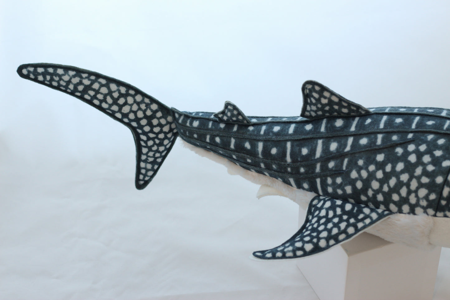 Winifred the Whale Shark