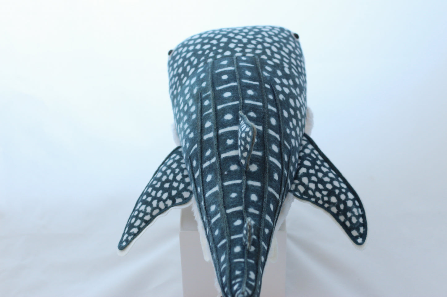 Winifred the Whale Shark