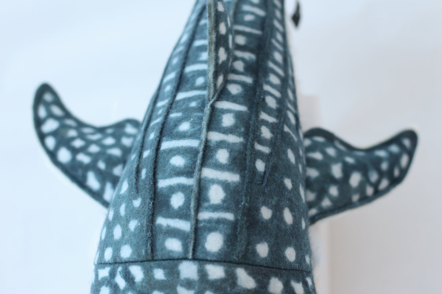 Whale Shark Pup