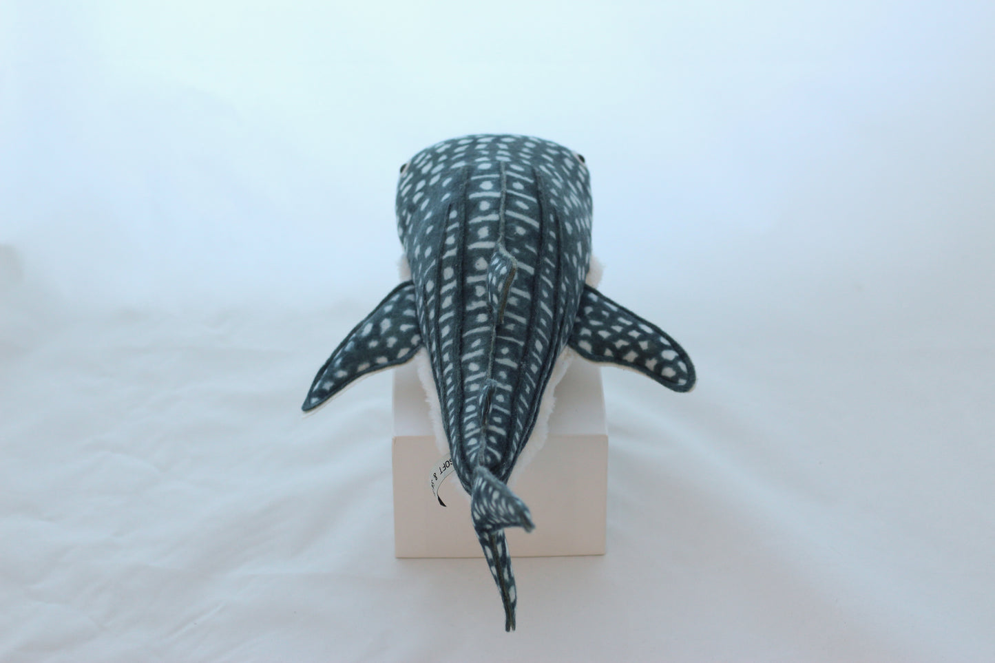 Winifred the Whale Shark