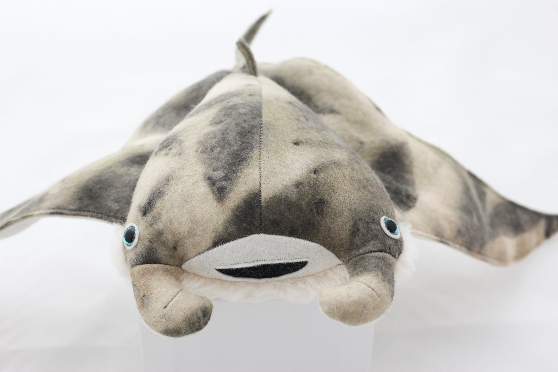 Plush toy manta ray with a white background