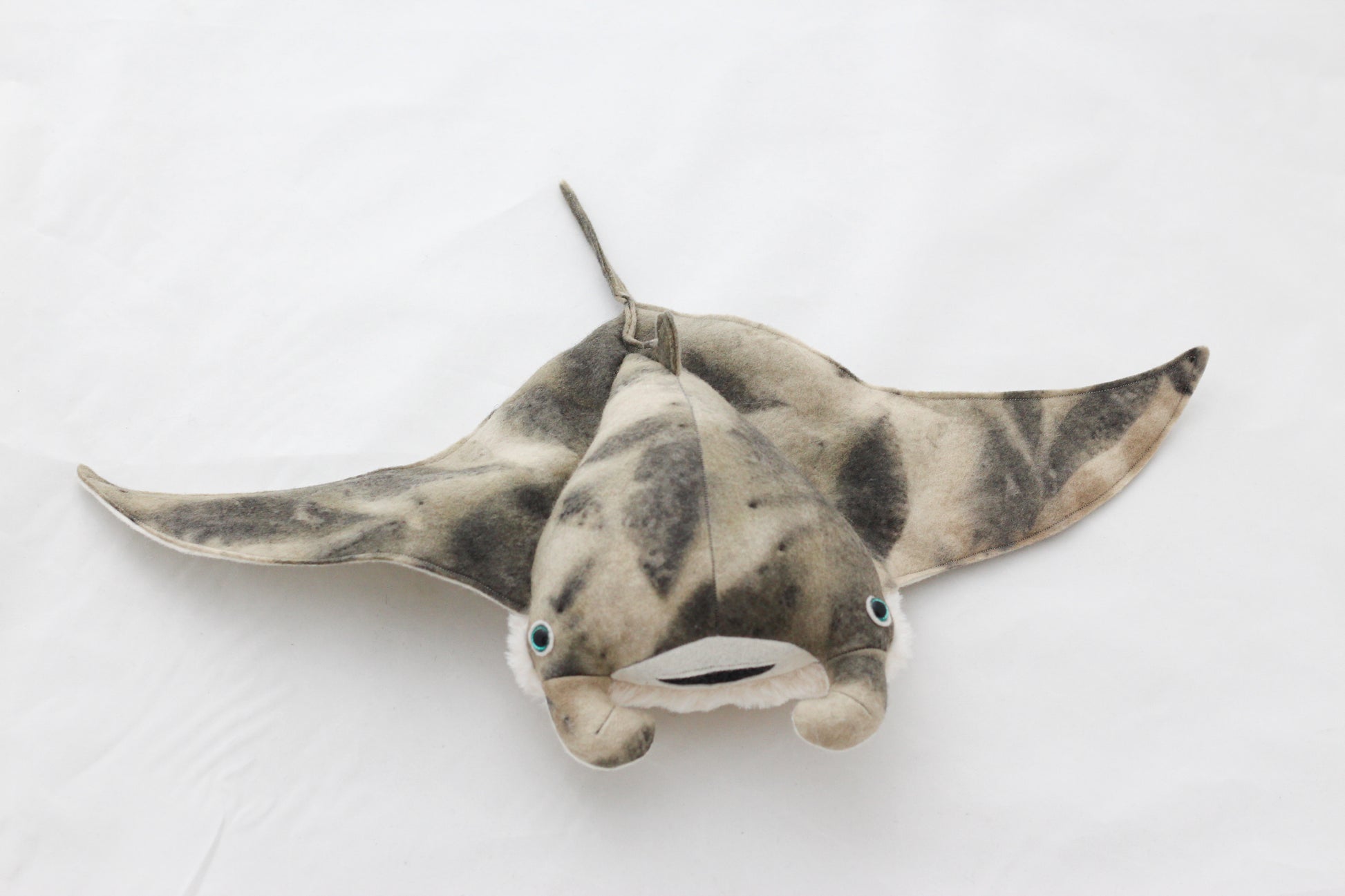Plush toy manta ray with a white background