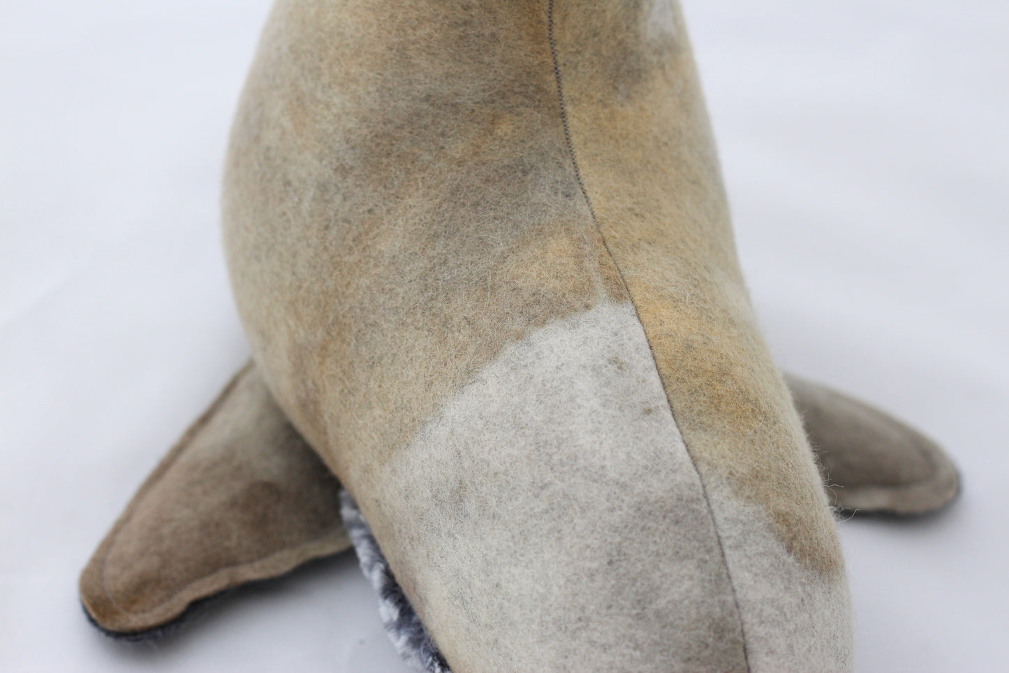 Plush toy seal on a white background