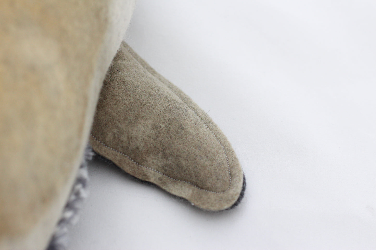 Close-up of a beige and gray seal flipper on a white background