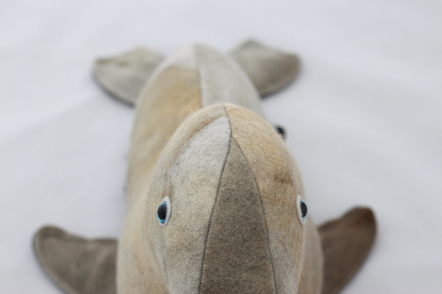 Plush seal toy on a white background