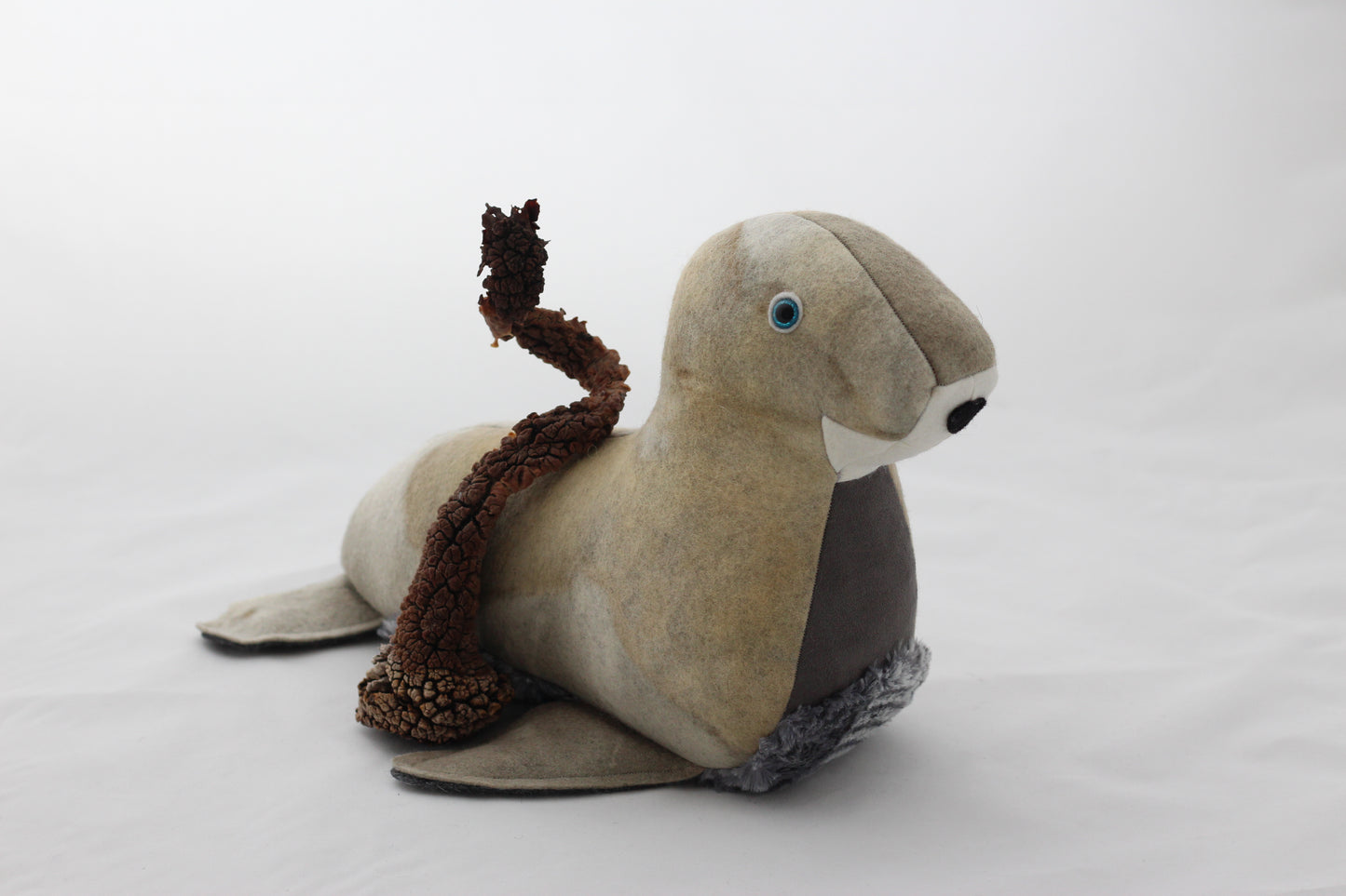 Plush toy seal with kelp on a white background