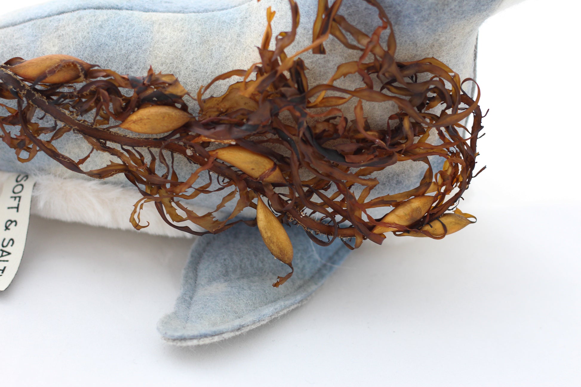 Textured brown branch with seaweed on a white background