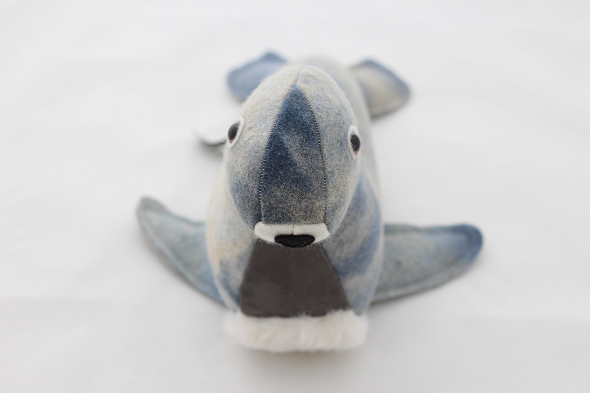 Stuffed toy seal on white background