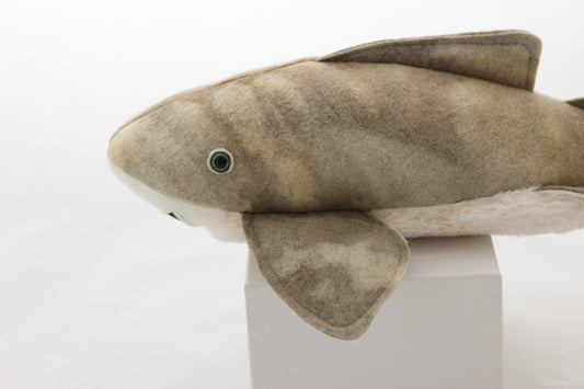 Zebra Shark Pup | Kelp-Dyed