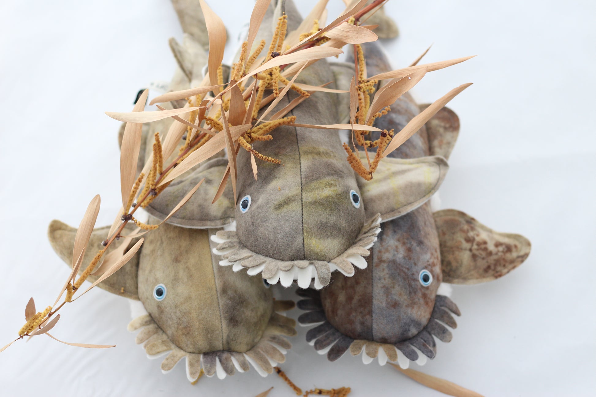 Three stuffed toy carpet sharks on a white background
