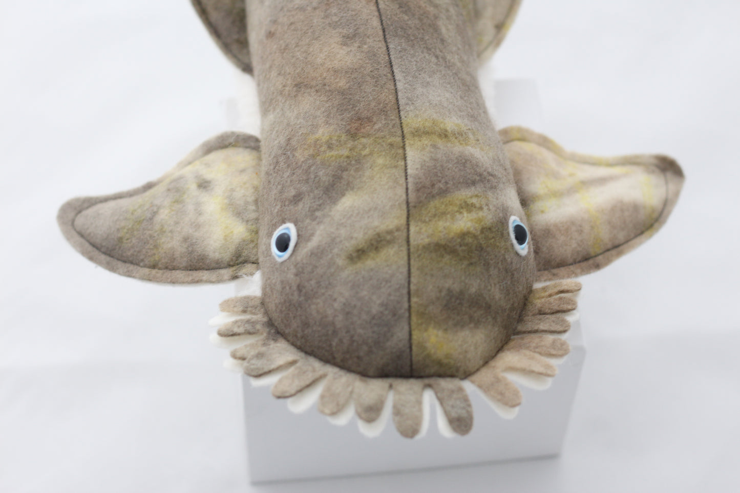 Wobbegong Plush Toy