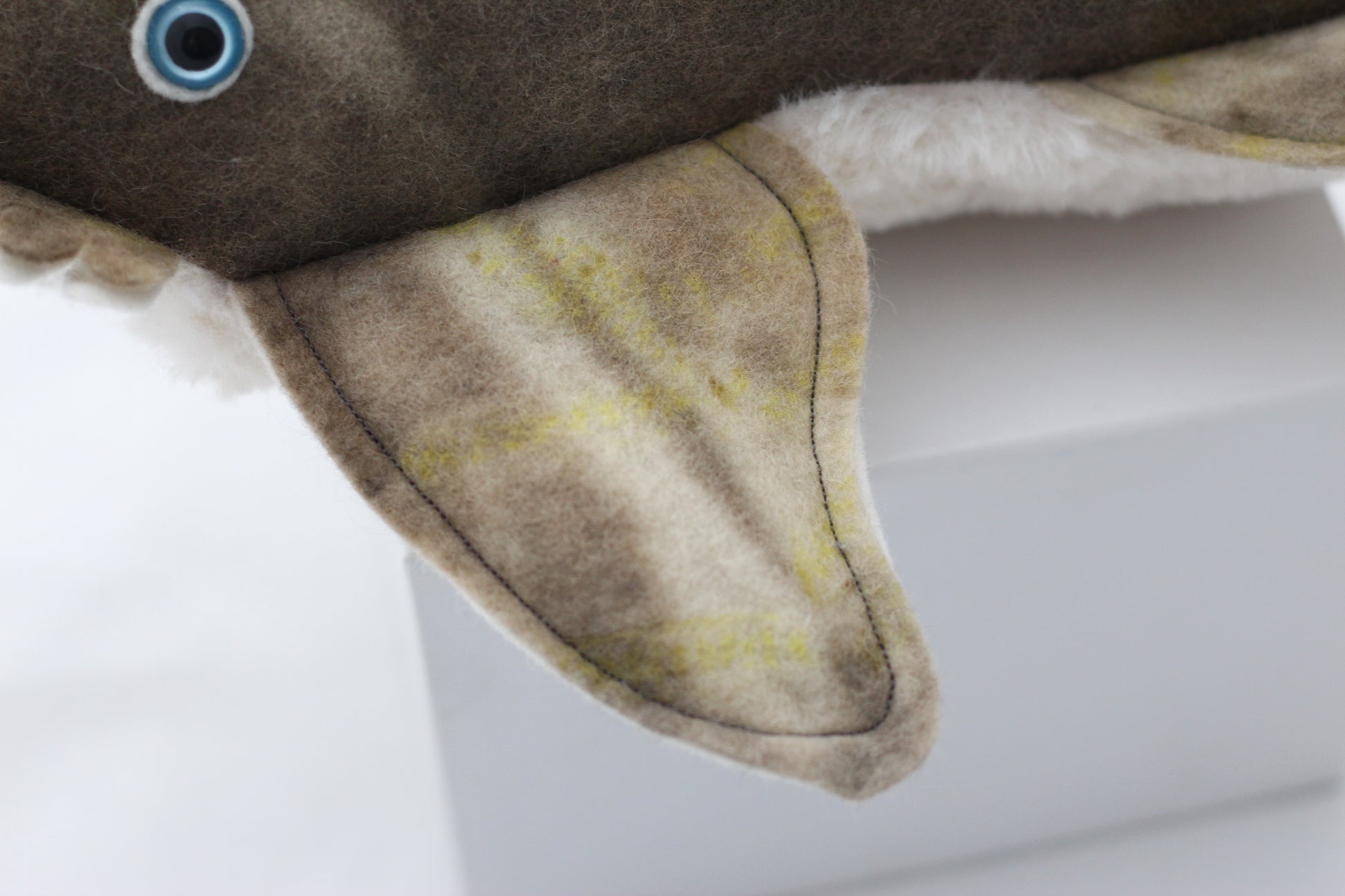 Plush toy wobbegong shark close up of fin