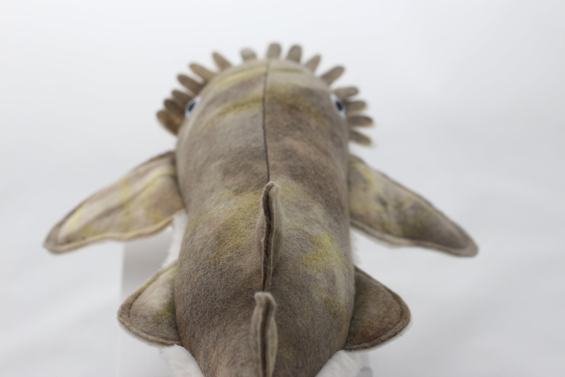 Plush toy wobbegong shark on a white background