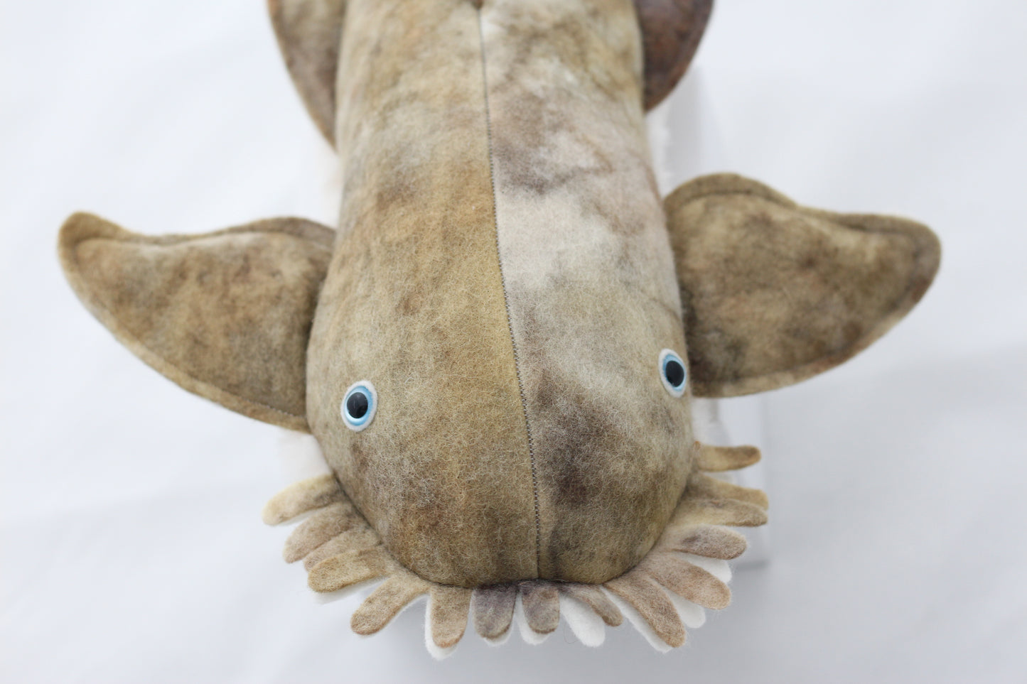Wobbegong Plush Toy 