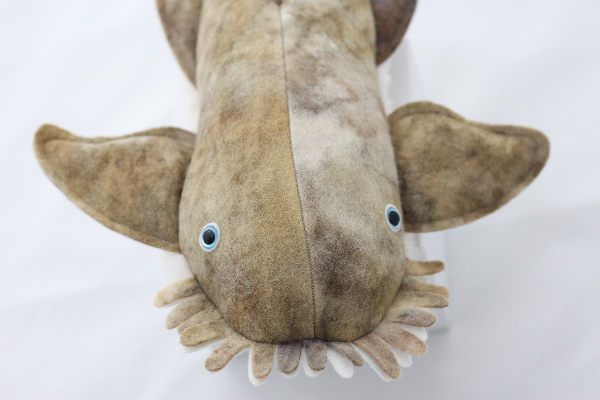 Wobbegong Plush Toy 