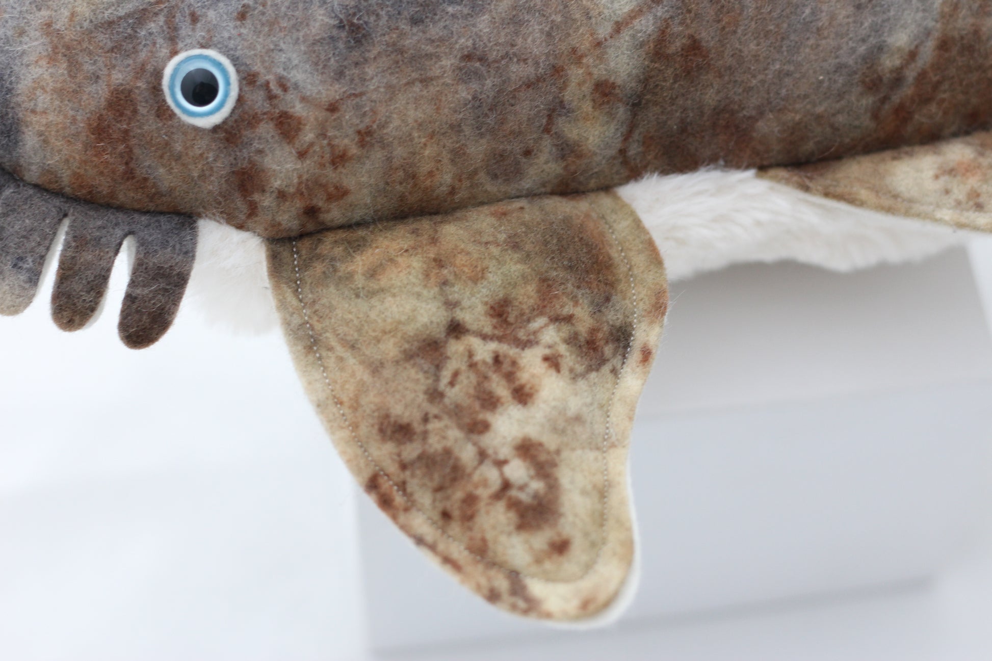 Wobbegong Plush Toy
