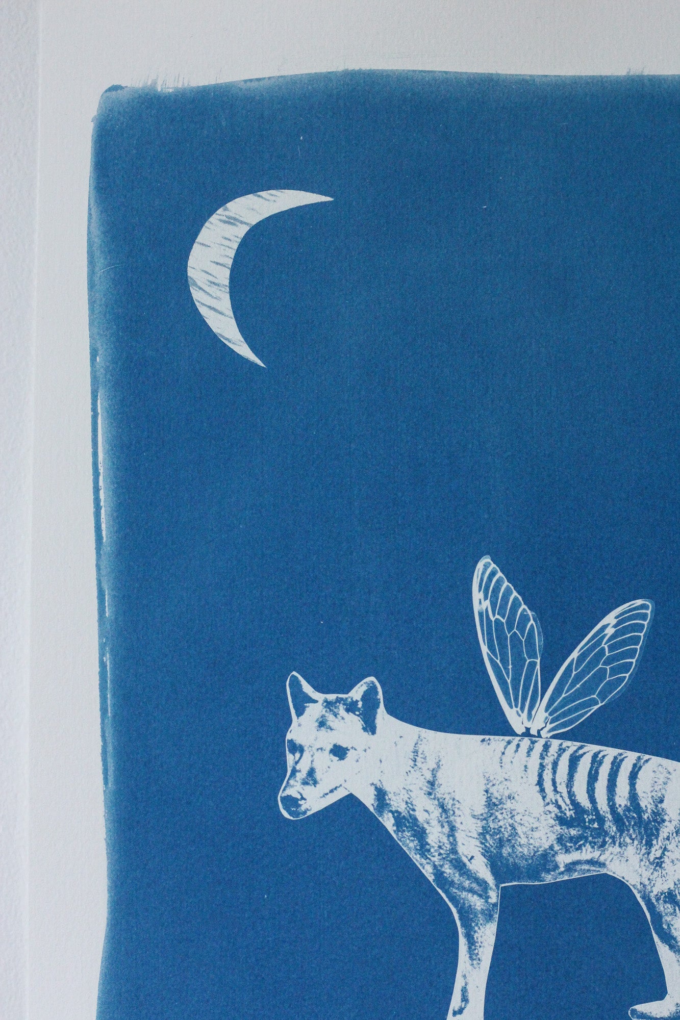 Benjamin Forever | Cyanotype Print