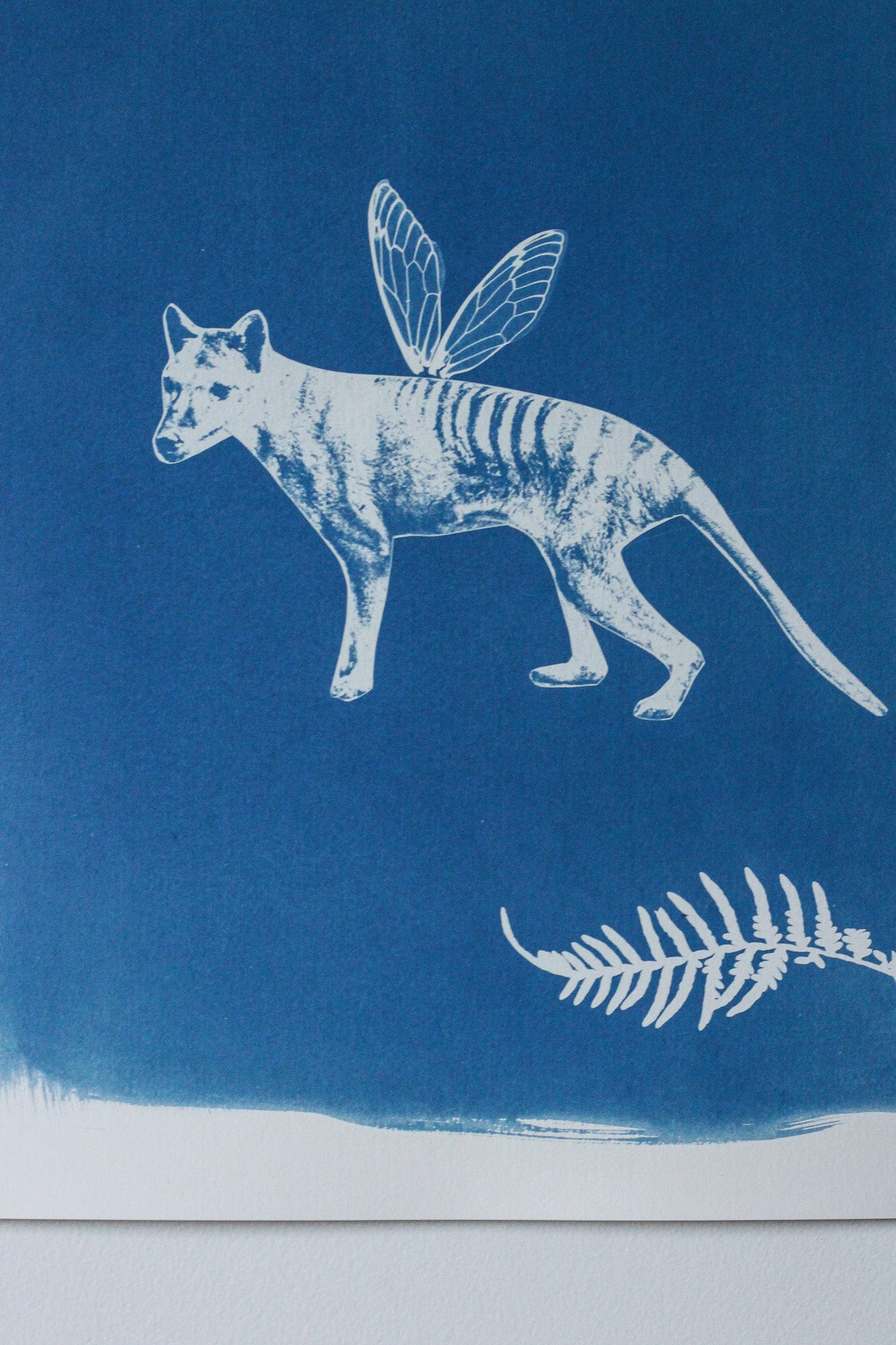 Benjamin Forever | Cyanotype Print