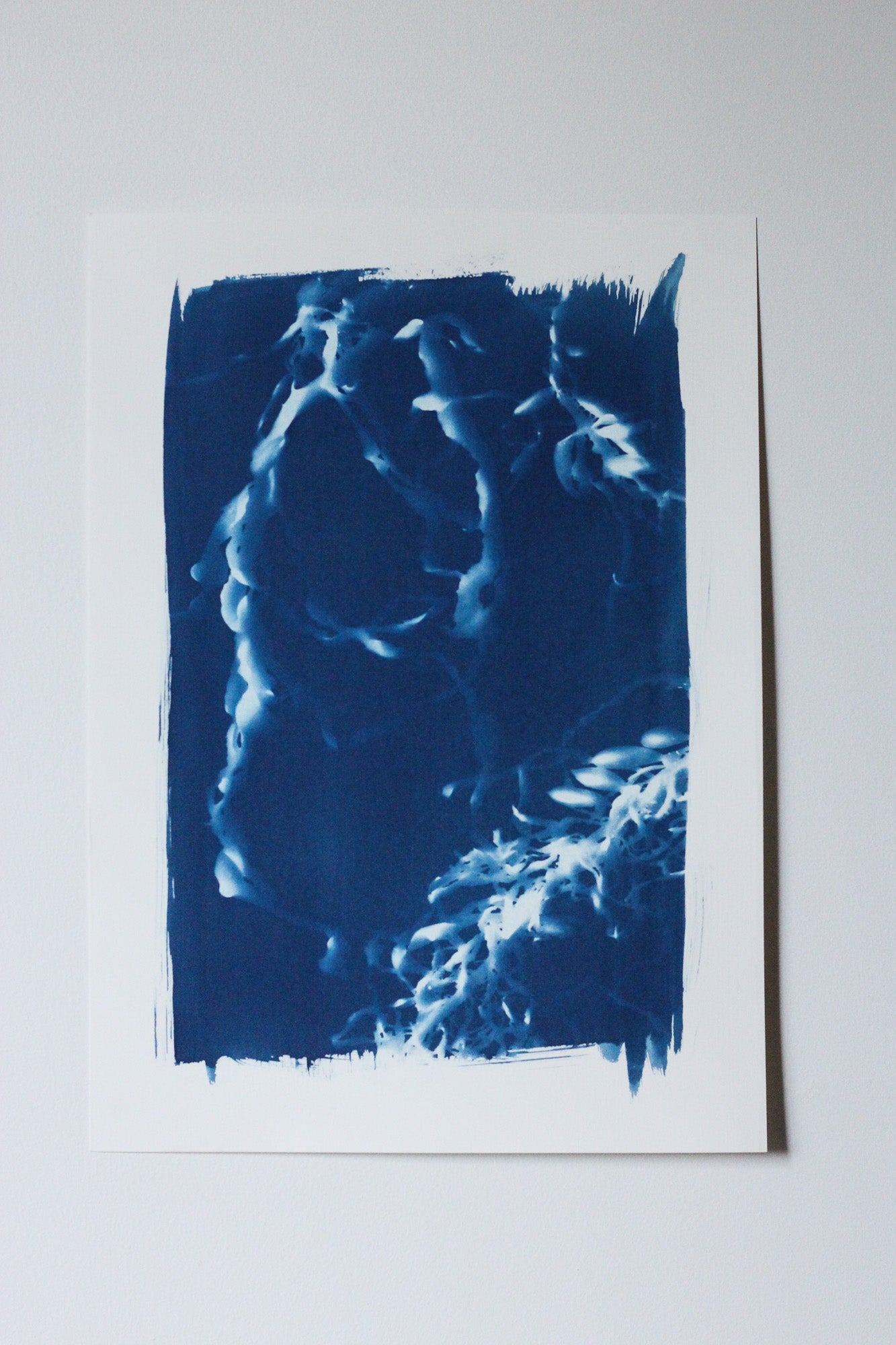 Deepest Blue | Cyanotype Print