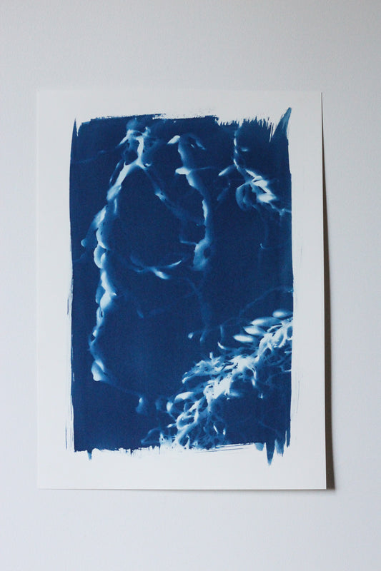 Deepest Blue | Cyanotype Print
