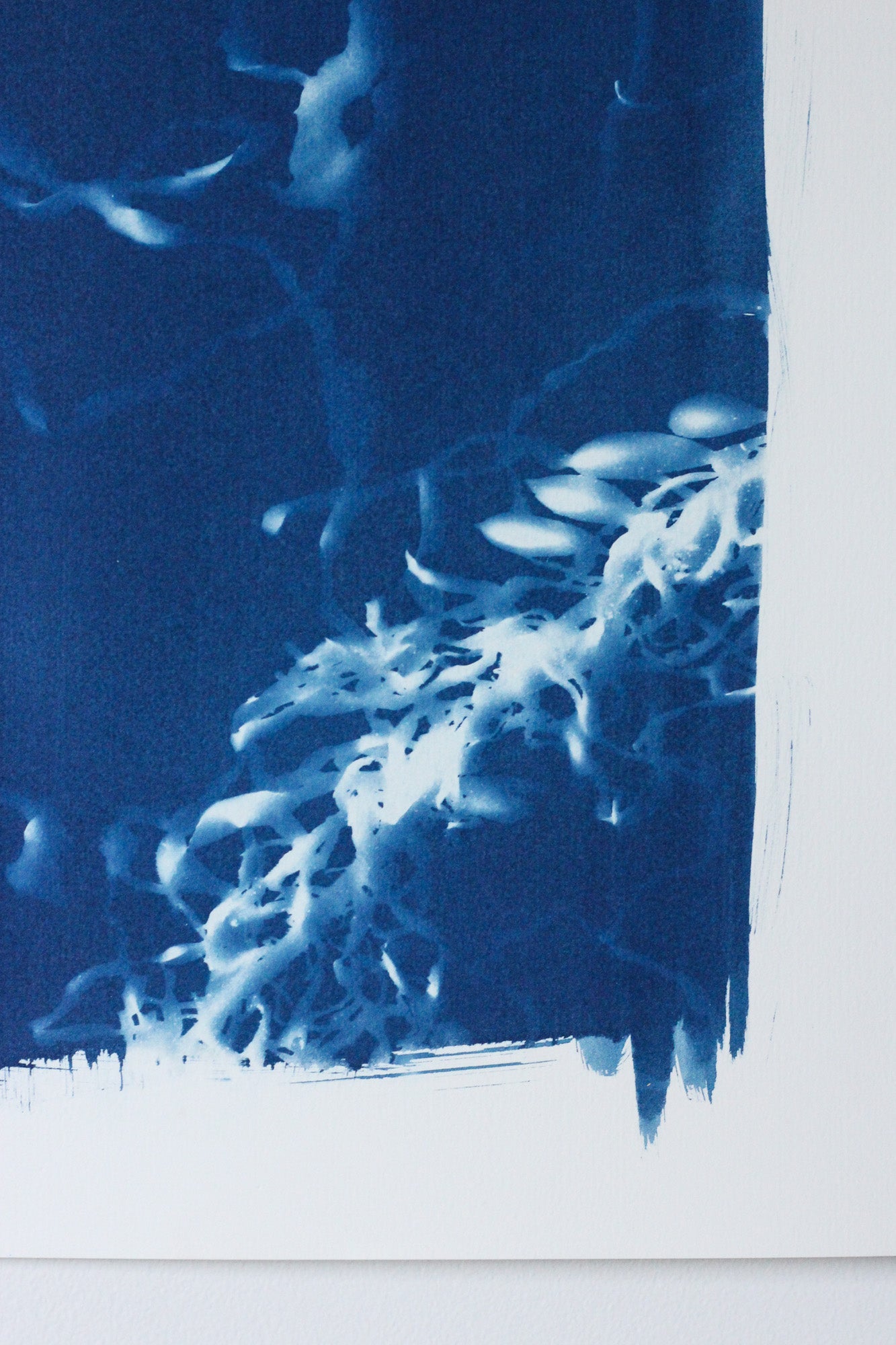 Deepest Blue | Cyanotype Print