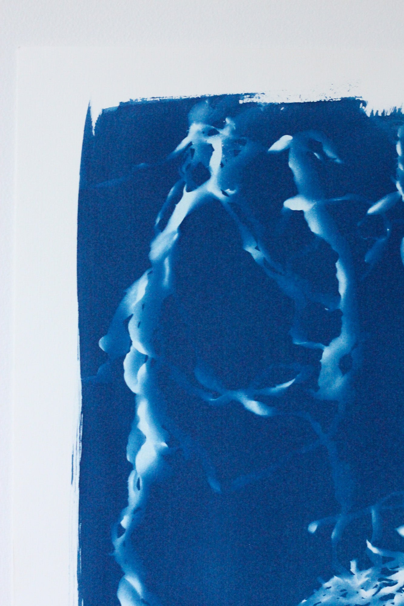 Deepest Blue | Cyanotype Print