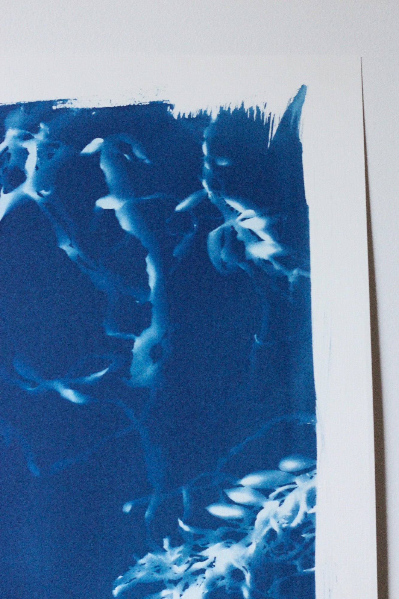 Deepest Blue | Cyanotype Print