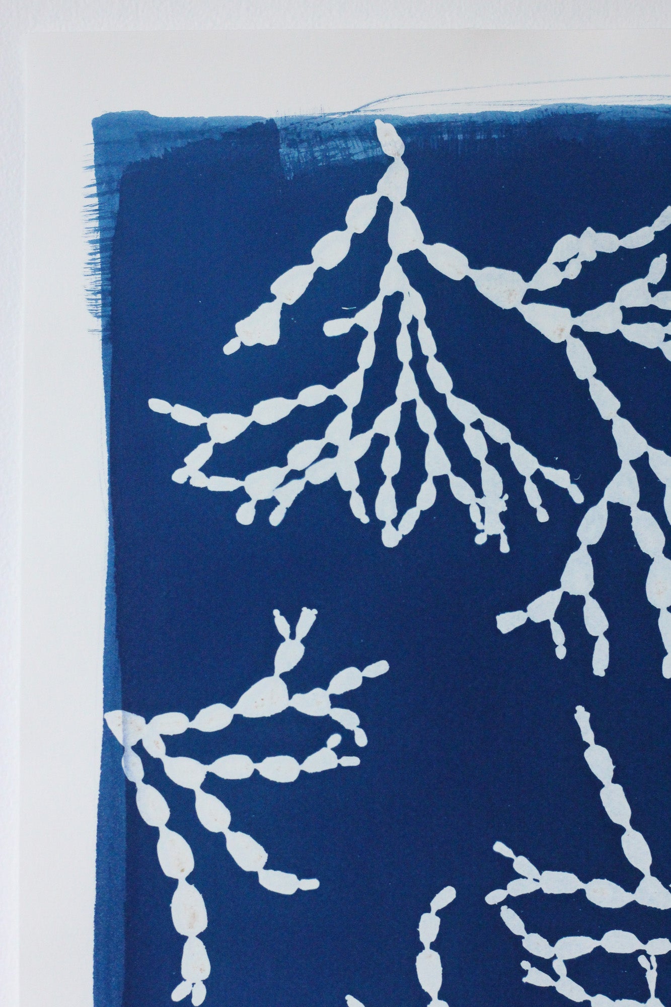 Bejewelled seaweed cyanotype art print in deep Prussian blue