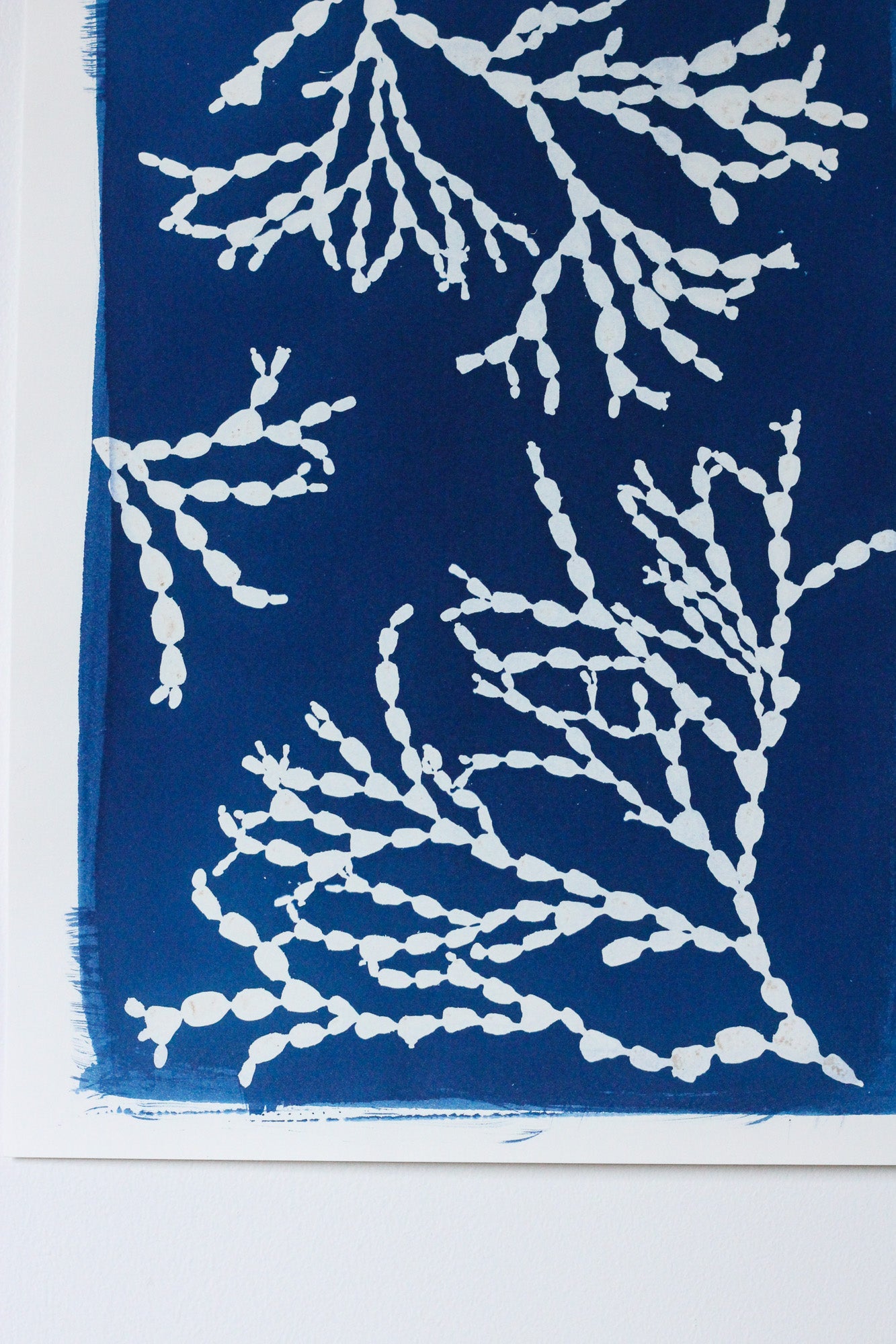 Bejewelled seaweed cyanotype art print in deep Prussian blue