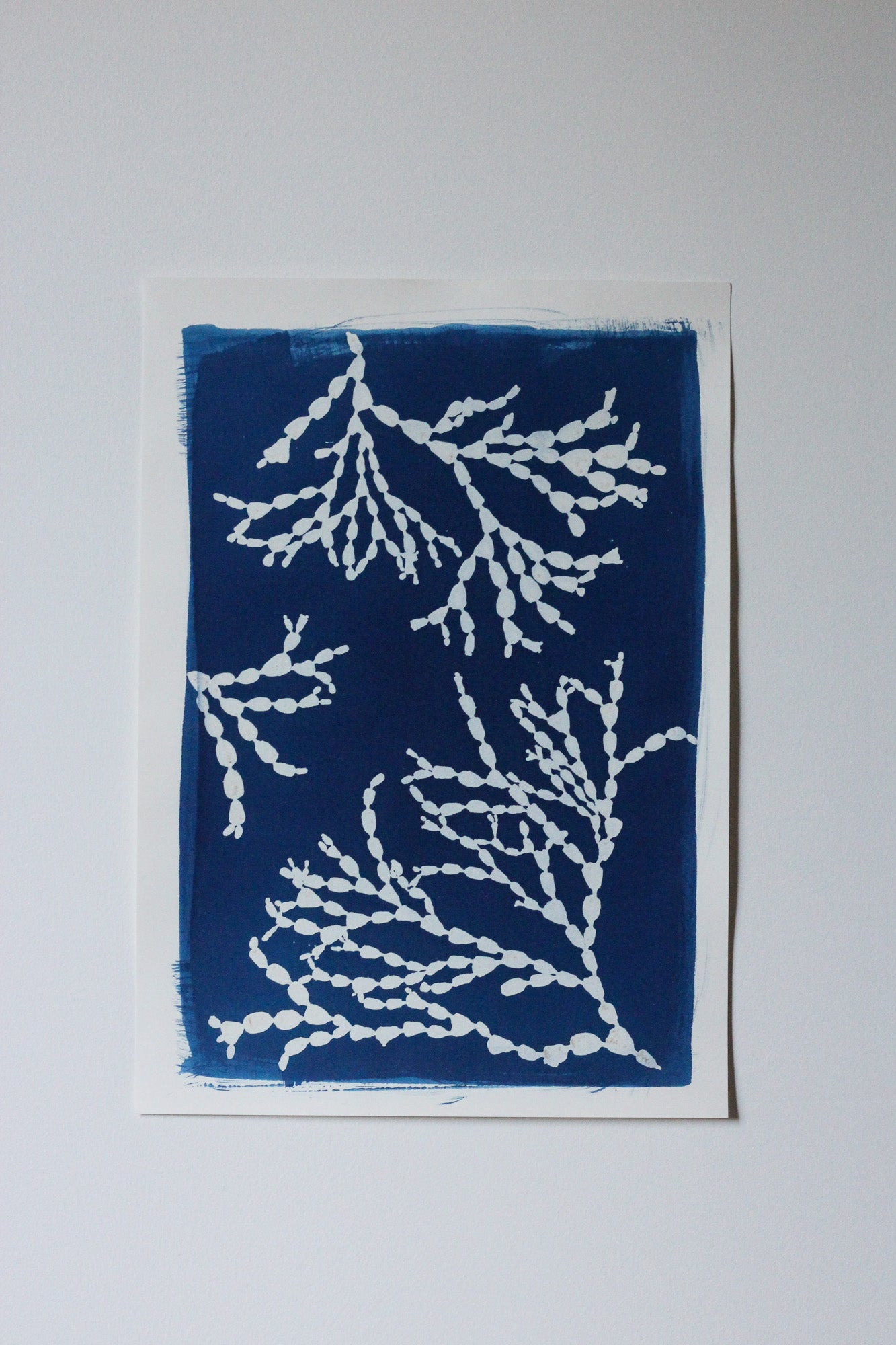 Bejewelled seaweed cyanotype art print in deep Prussian blue