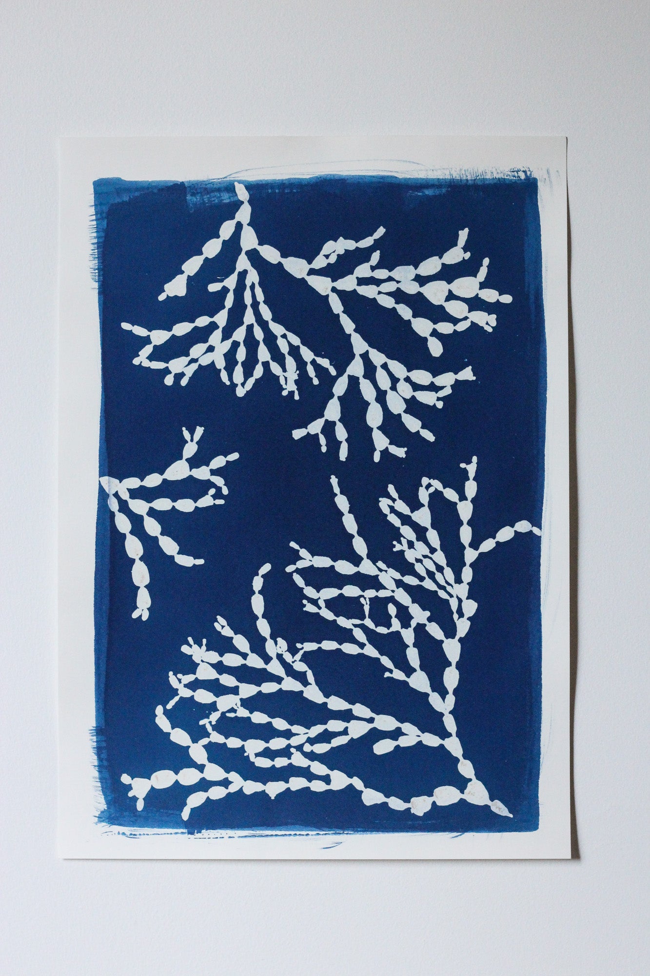 Bejewelled seaweed cyanotype art print in deep Prussian blue