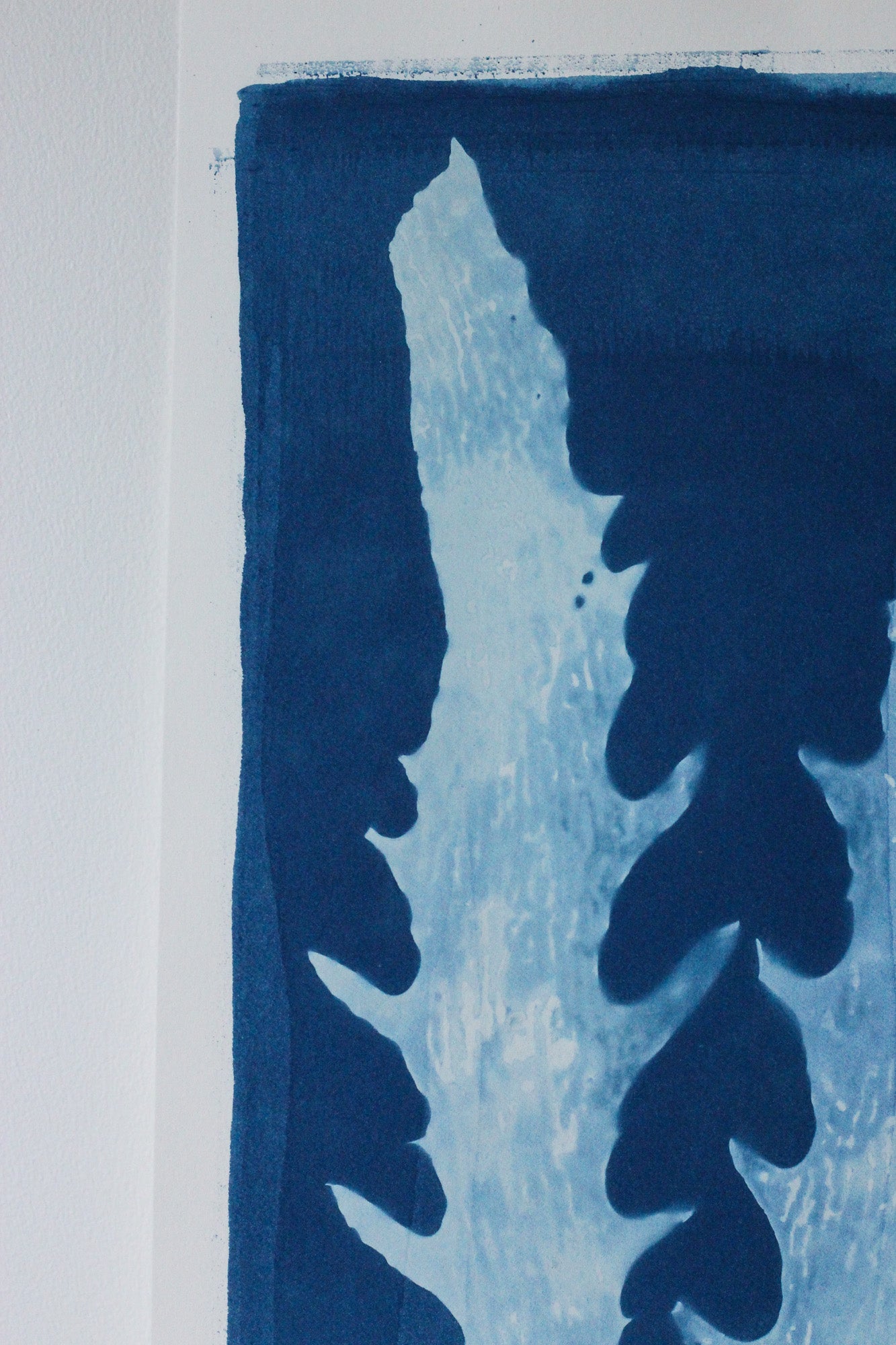 Aqua Cactus seaweed cyanotype art print in deep Prussian blue