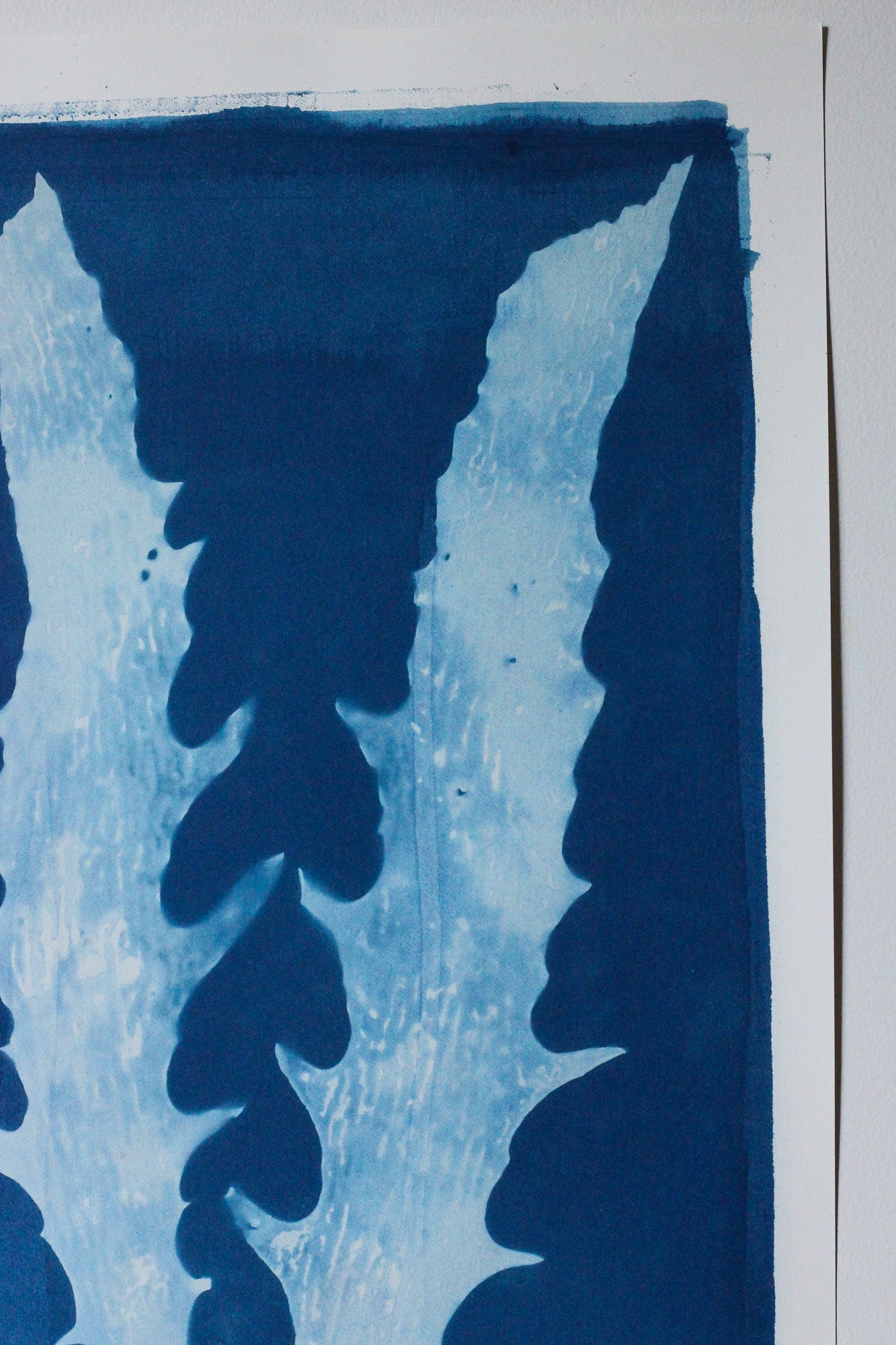 Aqua Cactus seaweed cyanotype art print in deep Prussian blue