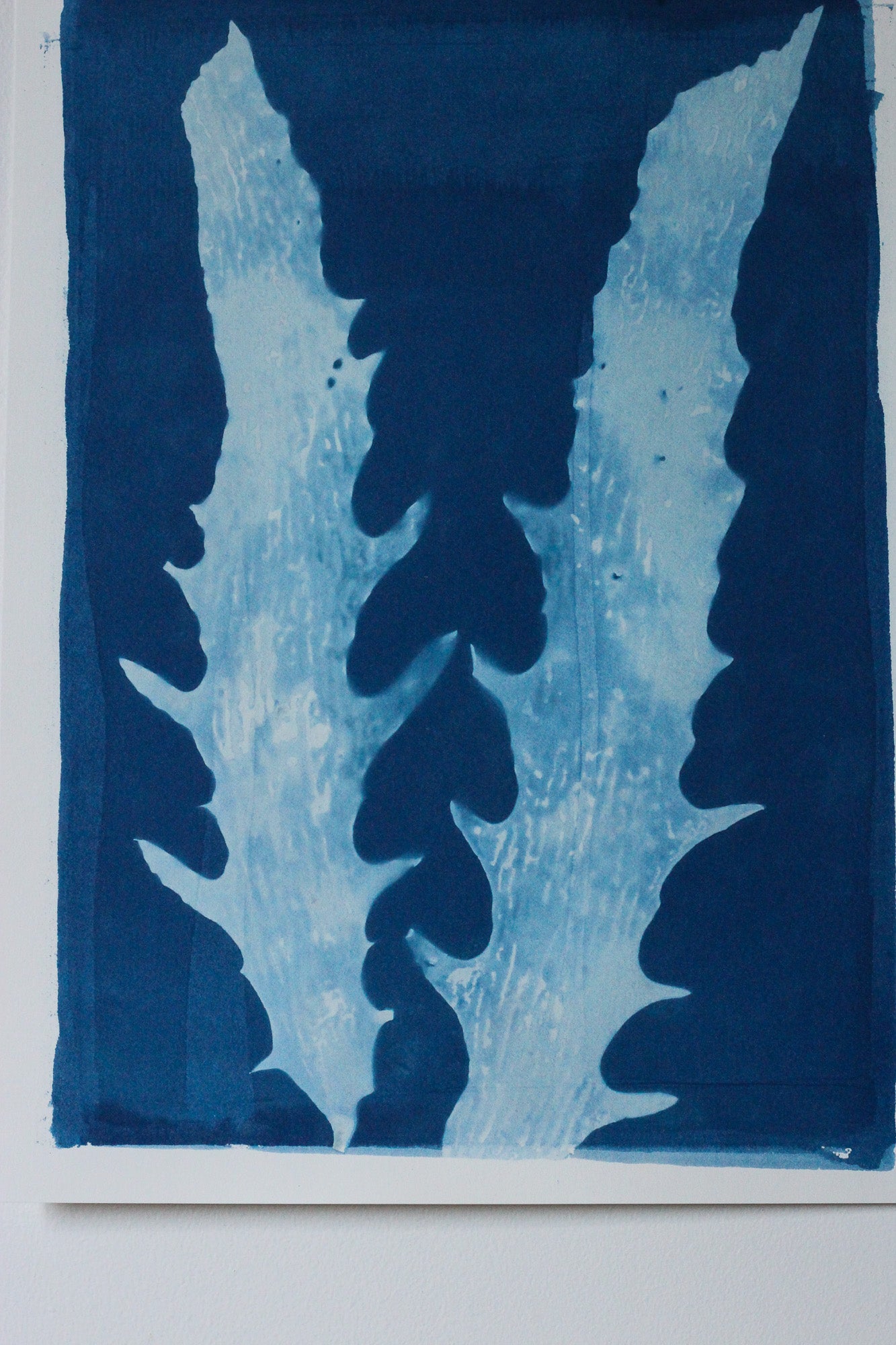 Aqua Cactus seaweed cyanotype art print in deep Prussian blue