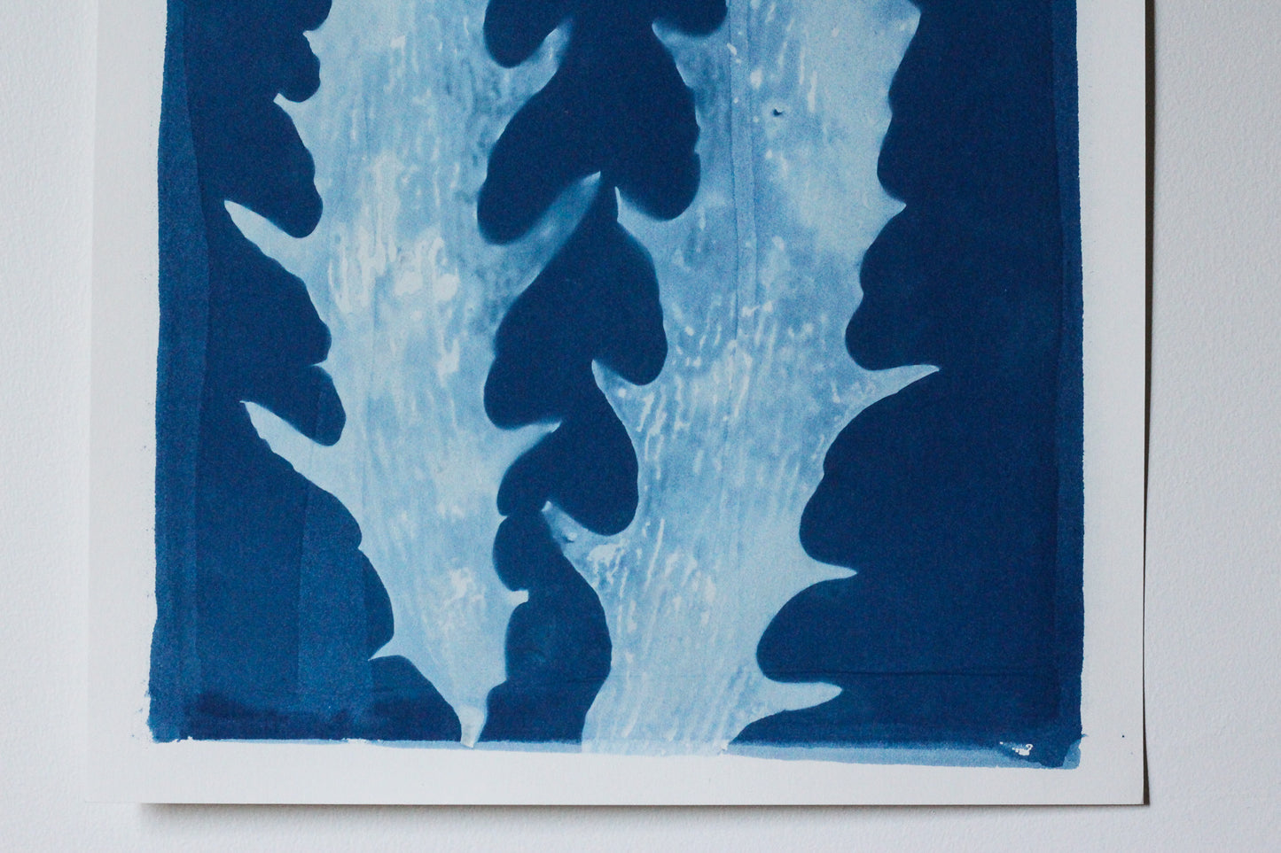 Detail of Aqua Cactus cyanotype showing pale seaweed textures and serrated edges
