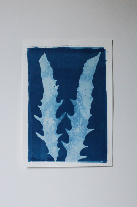 Aqua Cactus seaweed cyanotype art print in deep Prussian blue