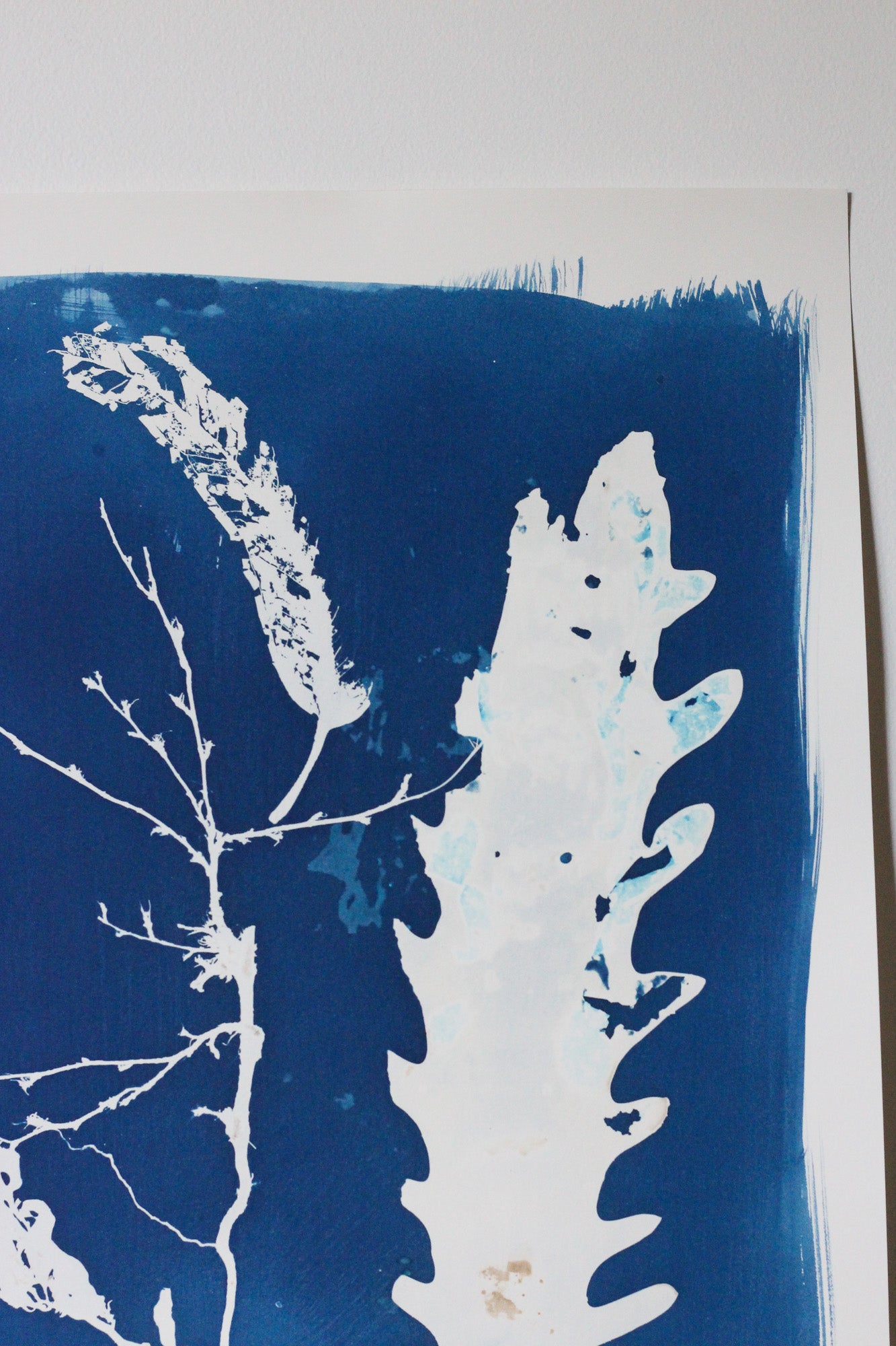 Forest Between Tides | Cyanotype Print