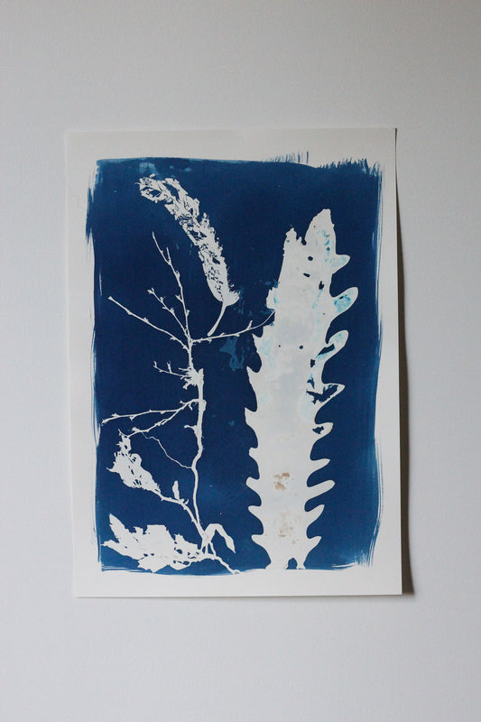 Forest Between Tides | Cyanotype Print