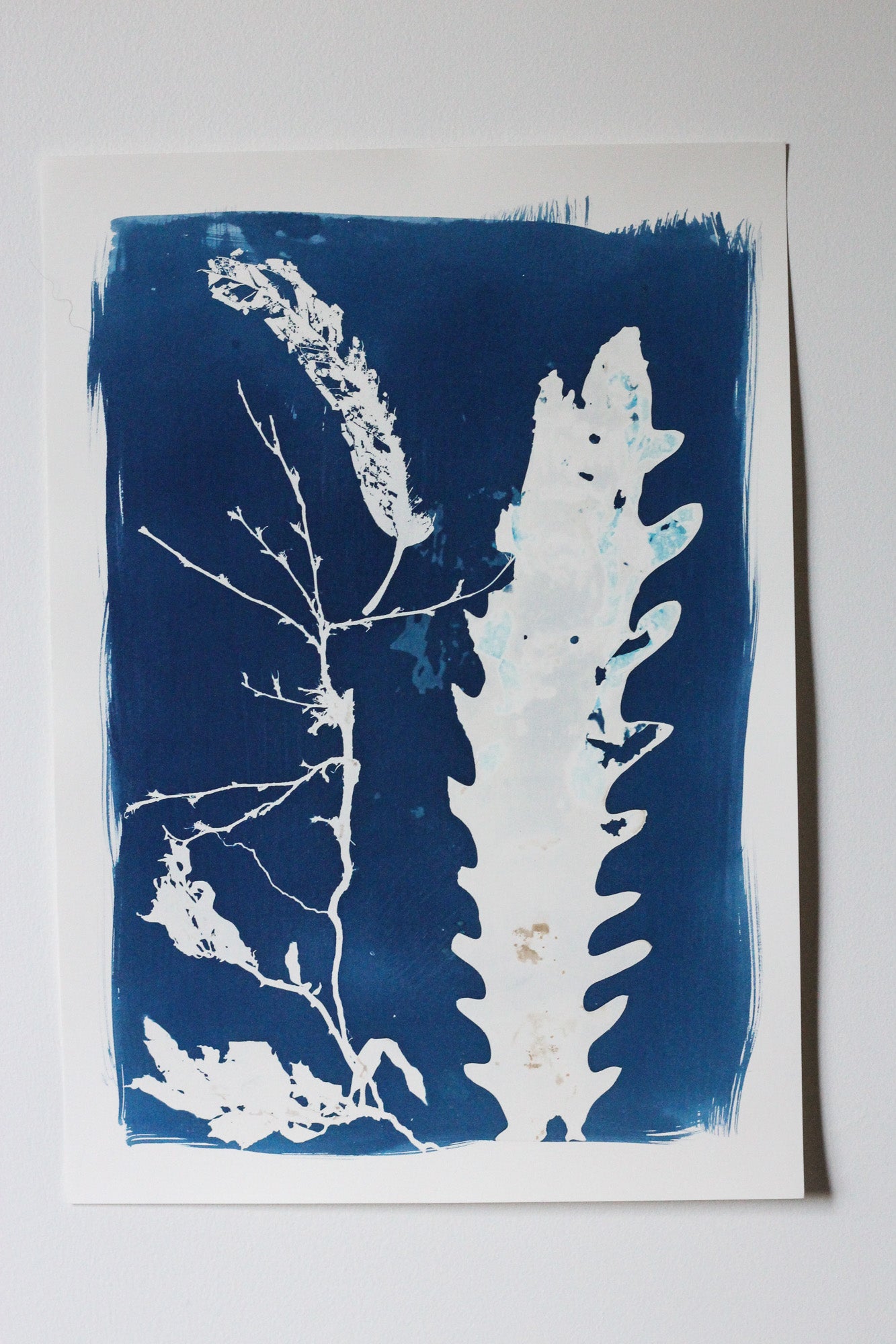 Forest Between Tides | Cyanotype Print