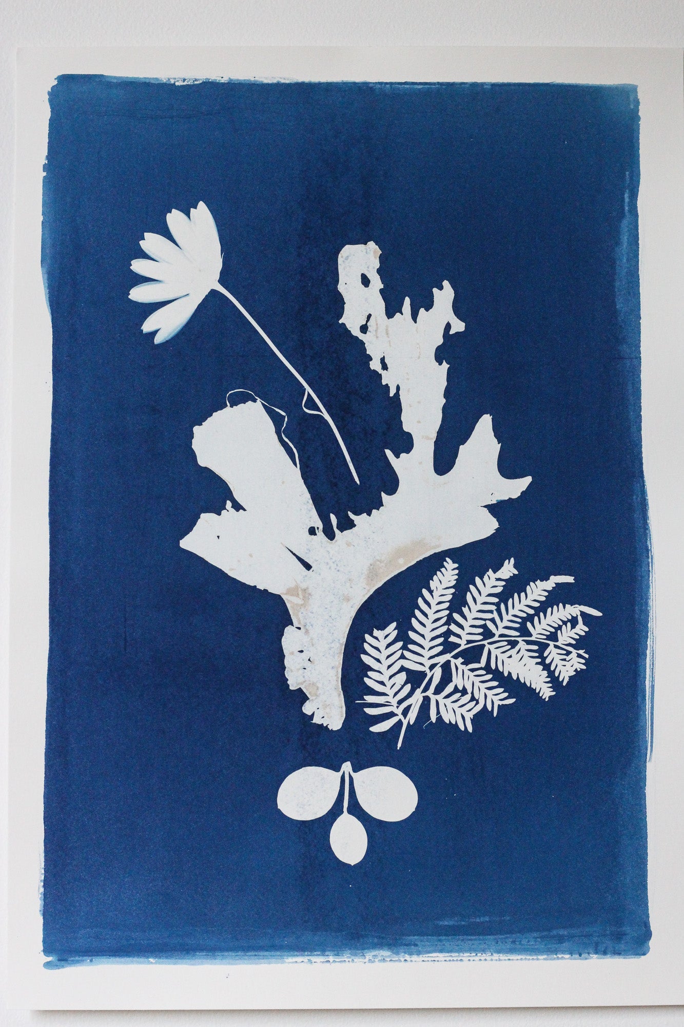 A square cyanotype-style art print featuring white botanical silhouettes, including a flower, fern, and seaweed forms, printed on a deep blue paper background with a white border.