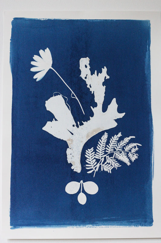 A square cyanotype-style art print featuring white botanical silhouettes, including a flower, fern, and seaweed forms, printed on a deep blue paper background with a white border.
