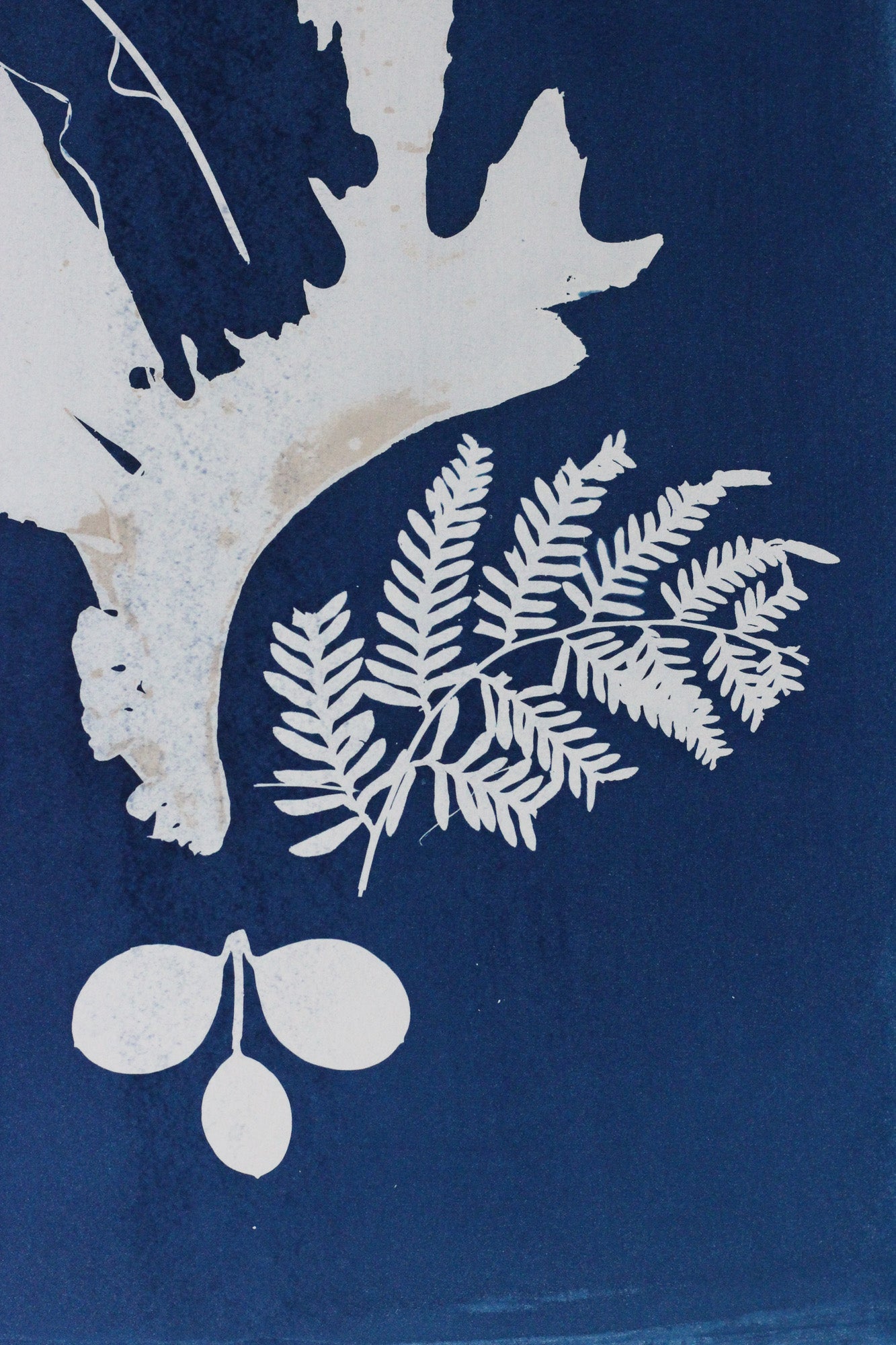 A close-up of a blue and white botanical print featuring a fern frond, a maple leaf, and three oval seed shapes on a deep blue background.