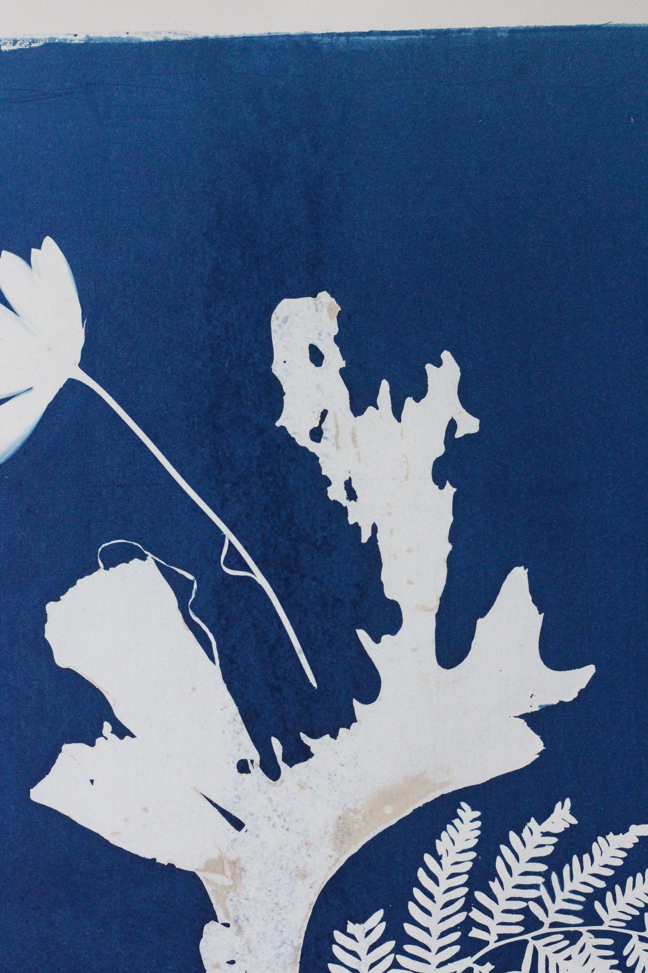 A close-up of a blue and white botanical print featuring white leaf silhouettes on a deep blue textured background.