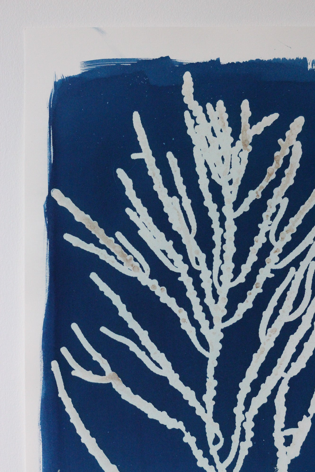 A close-up of a blue and white art print depicting a coral or branching marine botanical design, with a white border visible around the edges.