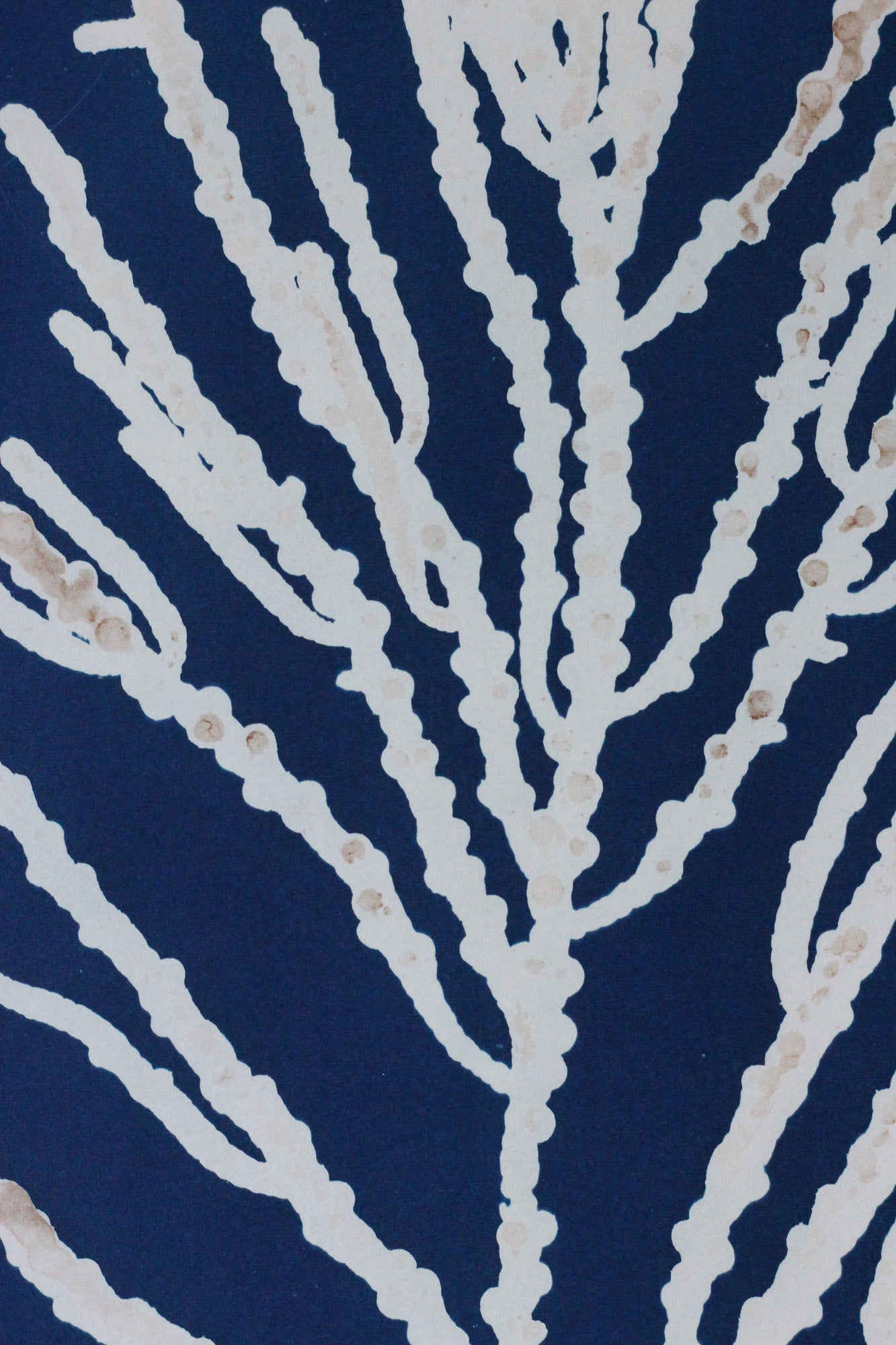 A close-up of a fabric or wallpaper pattern featuring a white coral or sea fan design on a deep navy blue background.